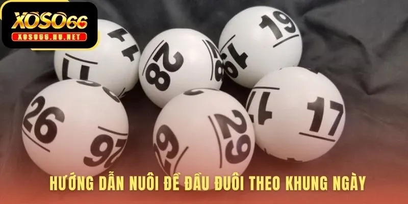 Đề 2 Càng Siêu Hay hướng dẫn kế hoạch vào tiền khoa học